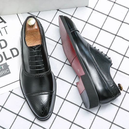 Brogue | Oxford Royal